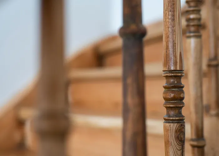 Bunter Hund - Hund, Parkplatz, Wintergarten *