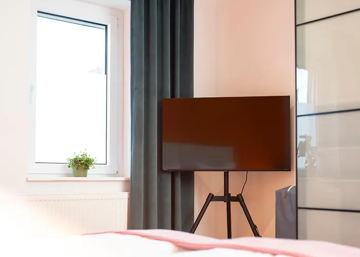 Bunter Hund - Hund, Parkplatz, Wintergarten Rothenburg ob der Tauber